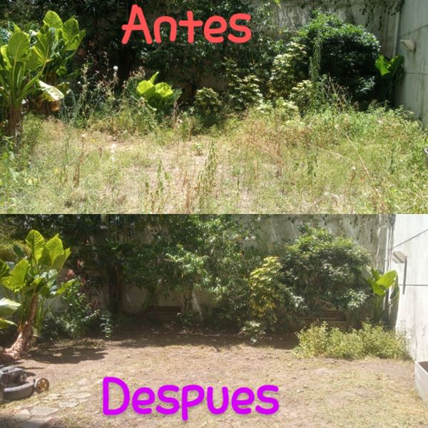 Mantenimiento de Parques y Jardines, en el interior o exterior