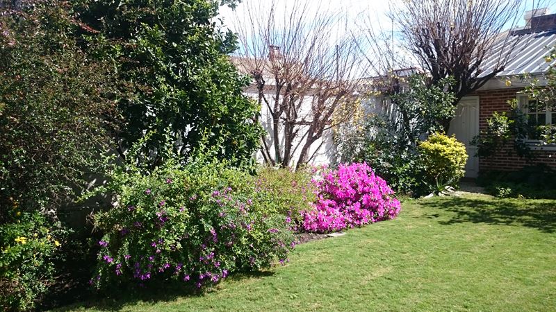 Mantenimiento de Parques y Jardines, en el interior o exterior 1