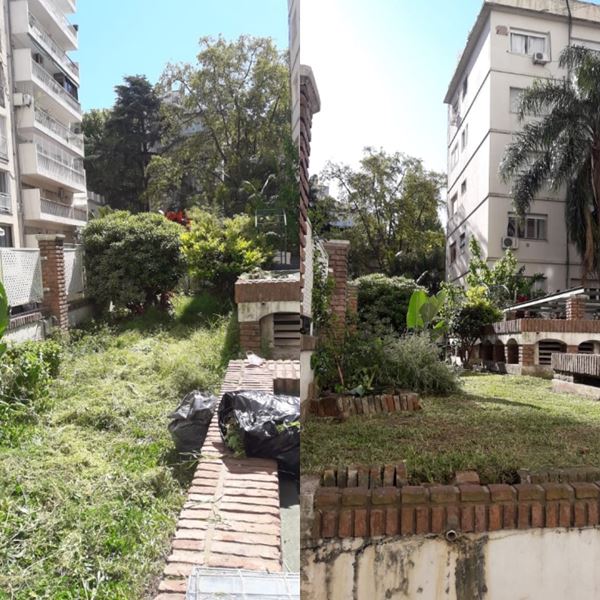 Mantenimiento de Parques y Jardines, en el interior o exterior 4