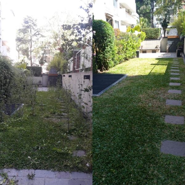 Mantenimiento de Parques y Jardines, en el interior o exterior 5