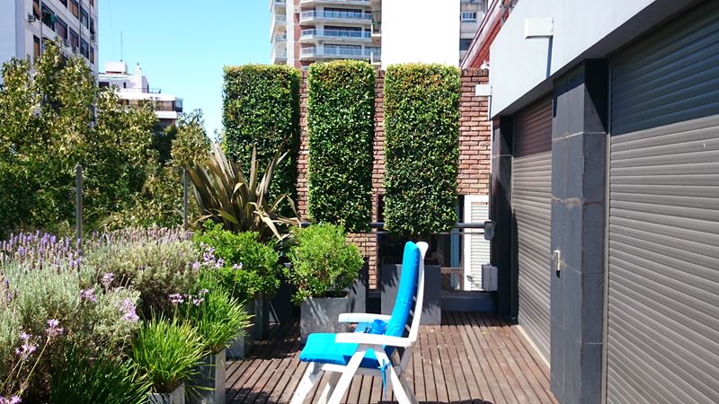AFB Paisajes - Servicios de podas y fertilizaciones 2