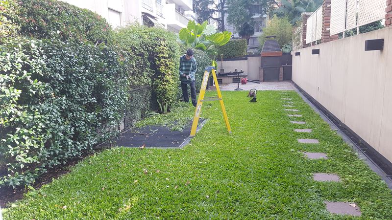 AFB Paisajes - Servicios de podas y fertilizaciones 4