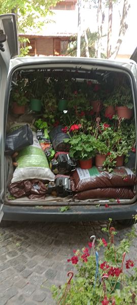 AFB Paisajes - Provisi&oacute;n de &Aacute;rboles, Arbustos y Florales