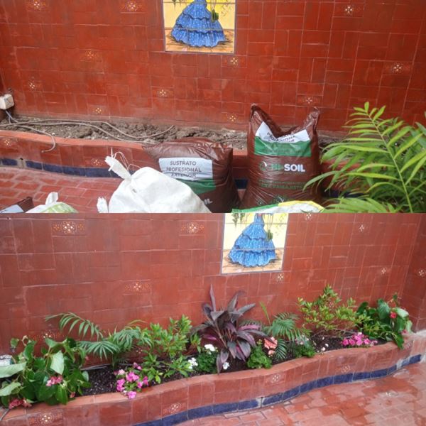 AFB Paisajes - Provisi&oacute;n de &Aacute;rboles, Arbustos y Florales 1