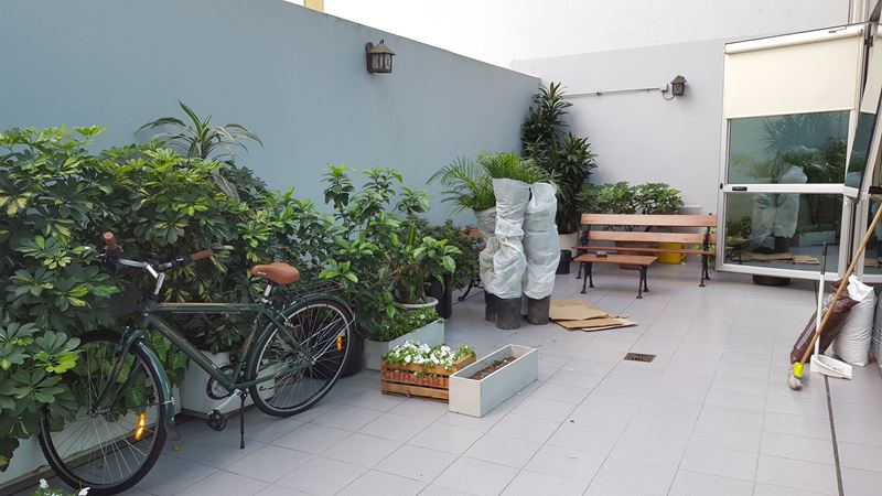 AFB Paisajes - Provisi&oacute;n de &Aacute;rboles, Arbustos y Florales 3